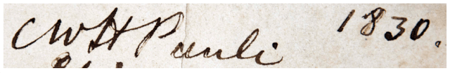 Pauli's signature